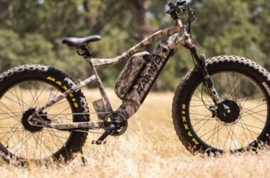 Market Trends in Hunting eBikes: What to Expect in 2025 and Beyond