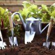 The 3 Garden Tools That Will Help You Save Money