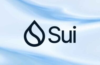 Understanding-the-Meteoric-Rise-of-SUI-Crypto-and-How-to-Buy-It