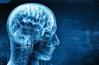 Best Memory App Choice of 2025: Get Mental Clout Boost with Intellectually Demanding Brain Training Programs