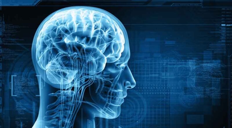 Best Memory App Choice of 2025: Get Mental Clout Boost with Intellectually Demanding Brain Training Programs