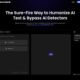 Humanize.io: Can It Make AI Content Undetectable?