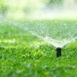 Smarter Lawn Care Starts with the Right Water Source