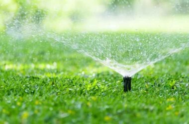 Smarter Lawn Care Starts with the Right Water Source