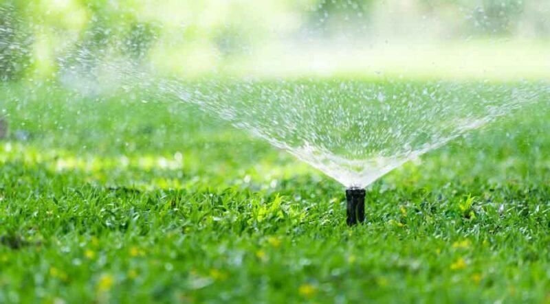 Smarter Lawn Care Starts with the Right Water Source