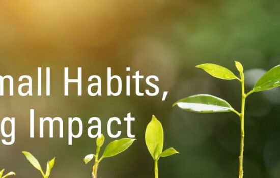 The Power of Daily Practices