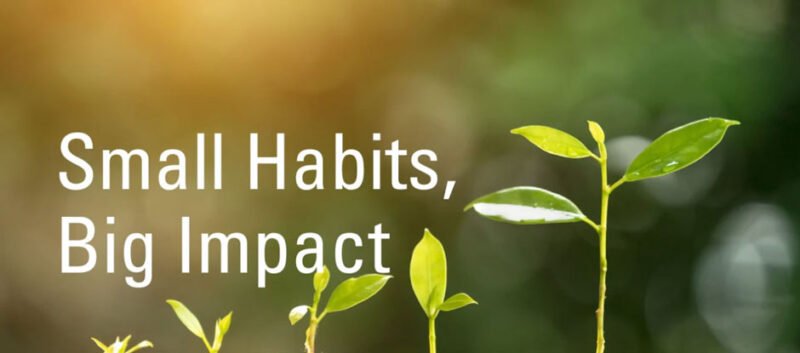 The Power of Daily Practices