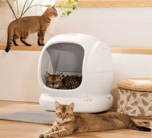 Why Automatic Litter Boxes Transform Cat Care