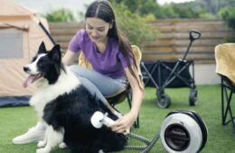 The Secret to a Fluffy, Smell-Free Dog: Mastering the Drying Step