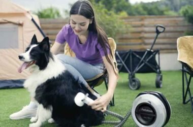 The Secret to a Fluffy, Smell-Free Dog: Mastering the Drying Step