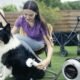 The Secret to a Fluffy, Smell-Free Dog: Mastering the Drying Step